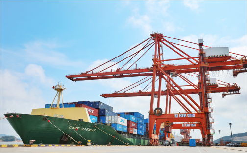 至尊国际状元岙港务分公司