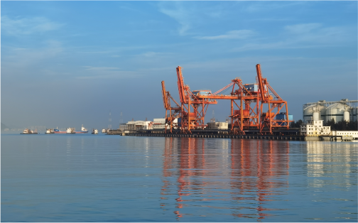 至尊国际口服务有限公司