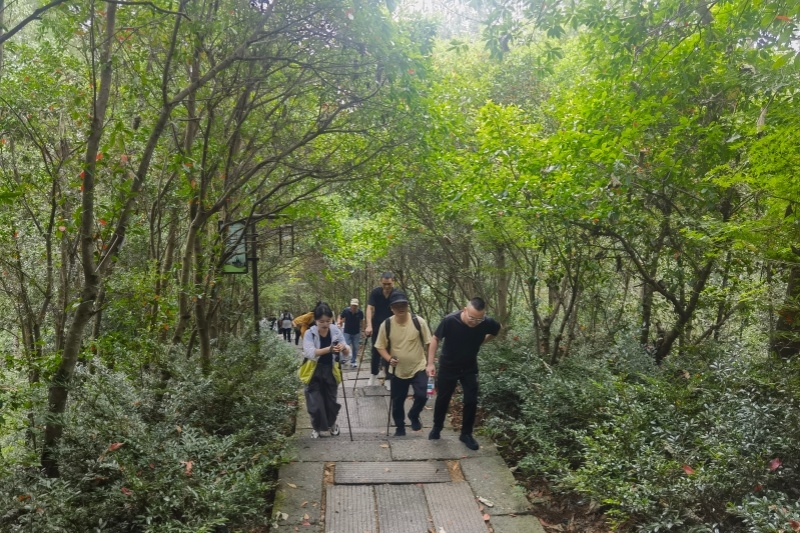 至尊国际 – 至尊服务,至尊享受